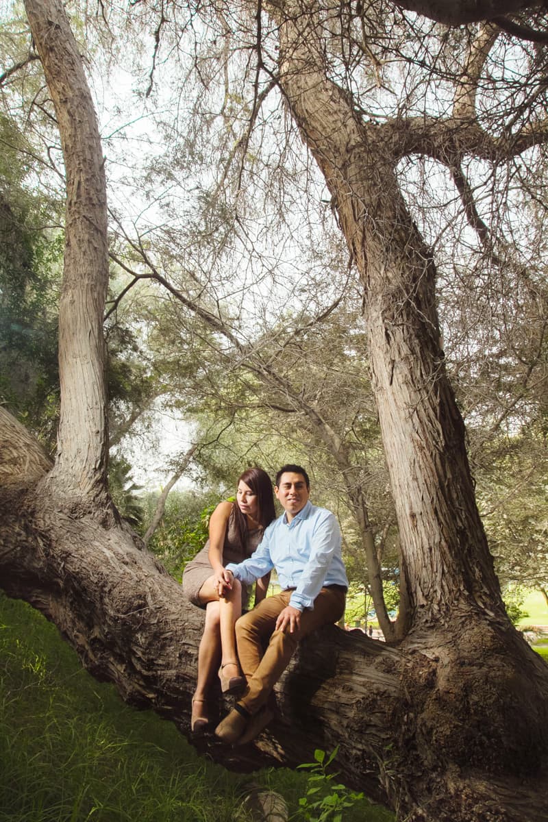 Aventura, naturaleza y amor